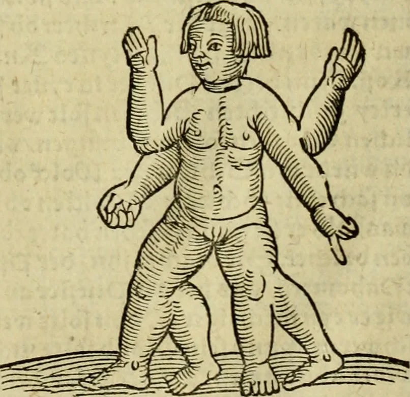 An illustration from Erste Theil der Hoffhaltung des Türckhischen Keysers vnd Othomañischen Reichs Beschreibung : darinn nicht allein der Türcken Empter ... sonder auch aller Türckischen Keysern Namen, Thaten, Krieg vnd Handel, so sie wider die Christen vnd Heyden haben verbracht, biss auff diss M.D.LXXVIII. Jar erstreckt vnd aussgeführet, auff das fleissigst verzeichnet vnd beschrieben : dessgleichen von der Türcken Aberglauben, Religion, Gottesdienst vnd Ceremonien ... : der ander Theil, wahrhaffte Beschreibung aller namhafften Geschichten, Thaten, Handlungen, Krieg ... so sich zwischen den Turcken vnd Christen vom Jar M.D.XX. biss auff das M.D.LXXVIII. Jar ... haben verloffen vnd zugetragen, 1578, leaf 169