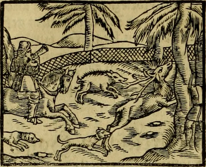 An illustration from Erste Theil der Hoffhaltung des Türckhischen Keysers vnd Othomañischen Reichs Beschreibung : darinn nicht allein der Türcken Empter ... sonder auch aller Türckischen Keysern Namen, Thaten, Krieg vnd Handel, so sie wider die Christen vnd Heyden haben verbracht, biss auff diss M.D.LXXVIII. Jar erstreckt vnd aussgeführet, auff das fleissigst verzeichnet vnd beschrieben : dessgleichen von der Türcken Aberglauben, Religion, Gottesdienst vnd Ceremonien ... : der ander Theil, wahrhaffte Beschreibung aller namhafften Geschichten, Thaten, Handlungen, Krieg ... so sich zwischen den Turcken vnd Christen vom Jar M.D.XX. biss auff das M.D.LXXVIII. Jar ... haben verloffen vnd zugetragen, 1578, leaf 17