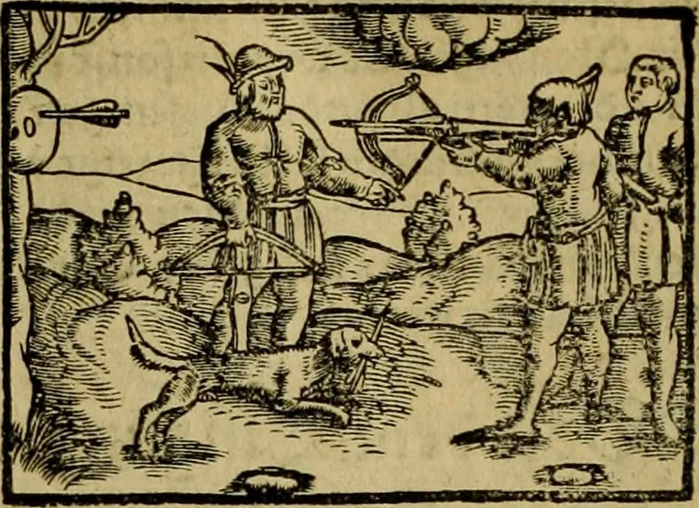 An illustration from Erste Theil der Hoffhaltung des Türckhischen Keysers vnd Othomañischen Reichs Beschreibung : darinn nicht allein der Türcken Empter ... sonder auch aller Türckischen Keysern Namen, Thaten, Krieg vnd Handel, so sie wider die Christen vnd Heyden haben verbracht, biss auff diss M.D.LXXVIII. Jar erstreckt vnd aussgeführet, auff das fleissigst verzeichnet vnd beschrieben : dessgleichen von der Türcken Aberglauben, Religion, Gottesdienst vnd Ceremonien ... : der ander Theil, wahrhaffte Beschreibung aller namhafften Geschichten, Thaten, Handlungen, Krieg ... so sich zwischen den Turcken vnd Christen vom Jar M.D.XX. biss auff das M.D.LXXVIII. Jar ... haben verloffen vnd zugetragen, 1578, leaf 17