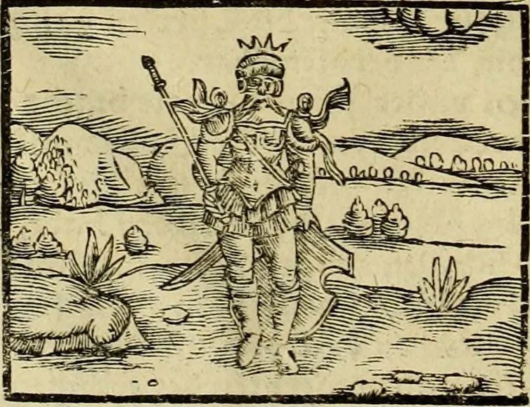 An illustration from Erste Theil der Hoffhaltung des Türckhischen Keysers vnd Othomañischen Reichs Beschreibung : darinn nicht allein der Türcken Empter ... sonder auch aller Türckischen Keysern Namen, Thaten, Krieg vnd Handel, so sie wider die Christen vnd Heyden haben verbracht, biss auff diss M.D.LXXVIII. Jar erstreckt vnd aussgeführet, auff das fleissigst verzeichnet vnd beschrieben : dessgleichen von der Türcken Aberglauben, Religion, Gottesdienst vnd Ceremonien ... : der ander Theil, wahrhaffte Beschreibung aller namhafften Geschichten, Thaten, Handlungen, Krieg ... so sich zwischen den Turcken vnd Christen vom Jar M.D.XX. biss auff das M.D.LXXVIII. Jar ... haben verloffen vnd zugetragen, 1578, leaf 209