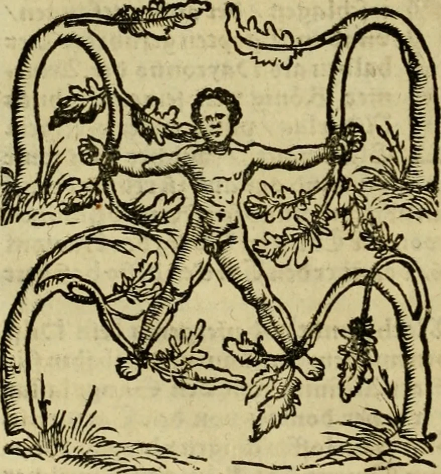 An illustration from Erste Theil der Hoffhaltung des Türckhischen Keysers vnd Othomañischen Reichs Beschreibung : darinn nicht allein der Türcken Empter ... sonder auch aller Türckischen Keysern Namen, Thaten, Krieg vnd Handel, so sie wider die Christen vnd Heyden haben verbracht, biss auff diss M.D.LXXVIII. Jar erstreckt vnd aussgeführet, auff das fleissigst verzeichnet vnd beschrieben : dessgleichen von der Türcken Aberglauben, Religion, Gottesdienst vnd Ceremonien ... : der ander Theil, wahrhaffte Beschreibung aller namhafften Geschichten, Thaten, Handlungen, Krieg ... so sich zwischen den Turcken vnd Christen vom Jar M.D.XX. biss auff das M.D.LXXVIII. Jar ... haben verloffen vnd zugetragen, 1578, leaf 211