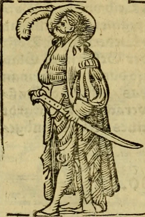 An illustration from Erste Theil der Hoffhaltung des Türckhischen Keysers vnd Othomañischen Reichs Beschreibung : darinn nicht allein der Türcken Empter ... sonder auch aller Türckischen Keysern Namen, Thaten, Krieg vnd Handel, so sie wider die Christen vnd Heyden haben verbracht, biss auff diss M.D.LXXVIII. Jar erstreckt vnd aussgeführet, auff das fleissigst verzeichnet vnd beschrieben : dessgleichen von der Türcken Aberglauben, Religion, Gottesdienst vnd Ceremonien ... : der ander Theil, wahrhaffte Beschreibung aller namhafften Geschichten, Thaten, Handlungen, Krieg ... so sich zwischen den Turcken vnd Christen vom Jar M.D.XX. biss auff das M.D.LXXVIII. Jar ... haben verloffen vnd zugetragen, 1578, leaf 215