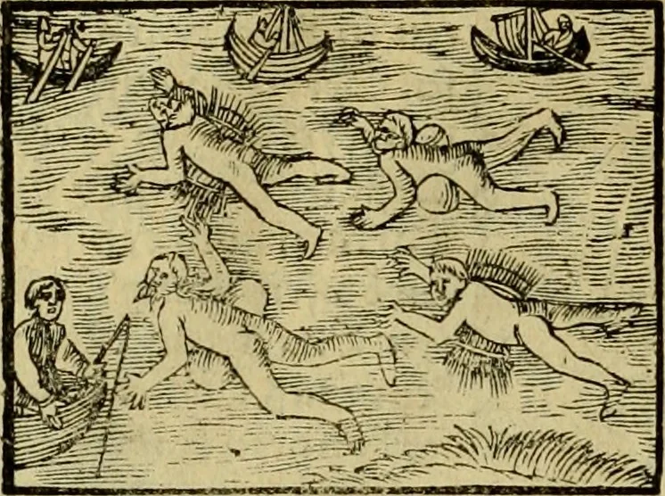 An illustration from Erste Theil der Hoffhaltung des Türckhischen Keysers vnd Othomañischen Reichs Beschreibung : darinn nicht allein der Türcken Empter ... sonder auch aller Türckischen Keysern Namen, Thaten, Krieg vnd Handel, so sie wider die Christen vnd Heyden haben verbracht, biss auff diss M.D.LXXVIII. Jar erstreckt vnd aussgeführet, auff das fleissigst verzeichnet vnd beschrieben : dessgleichen von der Türcken Aberglauben, Religion, Gottesdienst vnd Ceremonien ... : der ander Theil, wahrhaffte Beschreibung aller namhafften Geschichten, Thaten, Handlungen, Krieg ... so sich zwischen den Turcken vnd Christen vom Jar M.D.XX. biss auff das M.D.LXXVIII. Jar ... haben verloffen vnd zugetragen, 1578, leaf 219