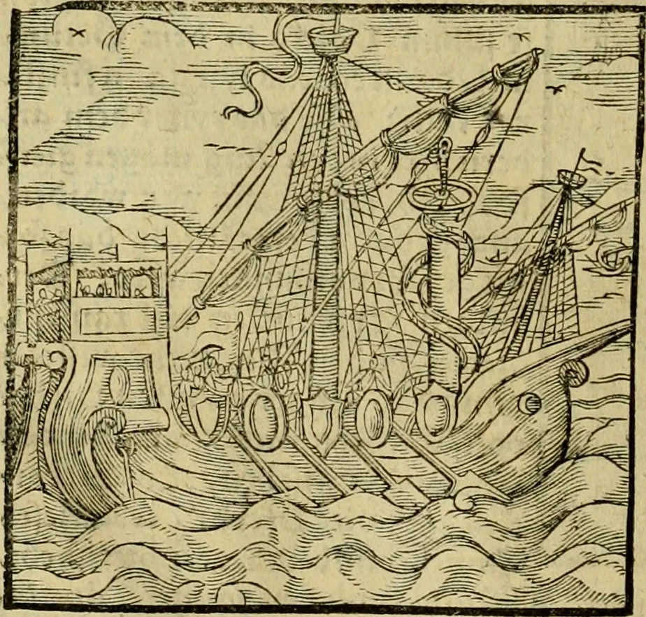 An illustration from Erste Theil der Hoffhaltung des Türckhischen Keysers vnd Othomañischen Reichs Beschreibung : darinn nicht allein der Türcken Empter ... sonder auch aller Türckischen Keysern Namen, Thaten, Krieg vnd Handel, so sie wider die Christen vnd Heyden haben verbracht, biss auff diss M.D.LXXVIII. Jar erstreckt vnd aussgeführet, auff das fleissigst verzeichnet vnd beschrieben : dessgleichen von der Türcken Aberglauben, Religion, Gottesdienst vnd Ceremonien ... : der ander Theil, wahrhaffte Beschreibung aller namhafften Geschichten, Thaten, Handlungen, Krieg ... so sich zwischen den Turcken vnd Christen vom Jar M.D.XX. biss auff das M.D.LXXVIII. Jar ... haben verloffen vnd zugetragen, 1578, leaf 219