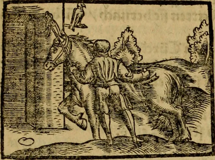 An illustration from Erste Theil der Hoffhaltung des Türckhischen Keysers vnd Othomañischen Reichs Beschreibung : darinn nicht allein der Türcken Empter ... sonder auch aller Türckischen Keysern Namen, Thaten, Krieg vnd Handel, so sie wider die Christen vnd Heyden haben verbracht, biss auff diss M.D.LXXVIII. Jar erstreckt vnd aussgeführet, auff das fleissigst verzeichnet vnd beschrieben : dessgleichen von der Türcken Aberglauben, Religion, Gottesdienst vnd Ceremonien ... : der ander Theil, wahrhaffte Beschreibung aller namhafften Geschichten, Thaten, Handlungen, Krieg ... so sich zwischen den Turcken vnd Christen vom Jar M.D.XX. biss auff das M.D.LXXVIII. Jar ... haben verloffen vnd zugetragen, 1578, leaf 22