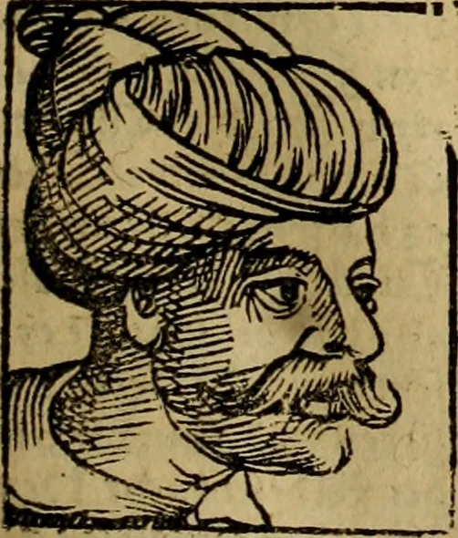 An illustration from Erste Theil der Hoffhaltung des Türckhischen Keysers vnd Othomañischen Reichs Beschreibung : darinn nicht allein der Türcken Empter ... sonder auch aller Türckischen Keysern Namen, Thaten, Krieg vnd Handel, so sie wider die Christen vnd Heyden haben verbracht, biss auff diss M.D.LXXVIII. Jar erstreckt vnd aussgeführet, auff das fleissigst verzeichnet vnd beschrieben : dessgleichen von der Türcken Aberglauben, Religion, Gottesdienst vnd Ceremonien ... : der ander Theil, wahrhaffte Beschreibung aller namhafften Geschichten, Thaten, Handlungen, Krieg ... so sich zwischen den Turcken vnd Christen vom Jar M.D.XX. biss auff das M.D.LXXVIII. Jar ... haben verloffen vnd zugetragen, 1578, leaf 234