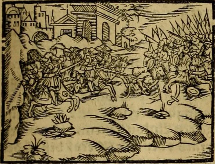 An illustration from Erste Theil der Hoffhaltung des Türckhischen Keysers vnd Othomañischen Reichs Beschreibung : darinn nicht allein der Türcken Empter ... sonder auch aller Türckischen Keysern Namen, Thaten, Krieg vnd Handel, so sie wider die Christen vnd Heyden haben verbracht, biss auff diss M.D.LXXVIII. Jar erstreckt vnd aussgeführet, auff das fleissigst verzeichnet vnd beschrieben : dessgleichen von der Türcken Aberglauben, Religion, Gottesdienst vnd Ceremonien ... : der ander Theil, wahrhaffte Beschreibung aller namhafften Geschichten, Thaten, Handlungen, Krieg ... so sich zwischen den Turcken vnd Christen vom Jar M.D.XX. biss auff das M.D.LXXVIII. Jar ... haben verloffen vnd zugetragen, 1578, leaf 244