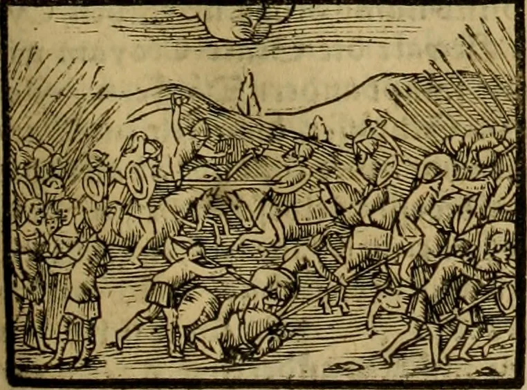 An illustration from Erste Theil der Hoffhaltung des Türckhischen Keysers vnd Othomañischen Reichs Beschreibung : darinn nicht allein der Türcken Empter ... sonder auch aller Türckischen Keysern Namen, Thaten, Krieg vnd Handel, so sie wider die Christen vnd Heyden haben verbracht, biss auff diss M.D.LXXVIII. Jar erstreckt vnd aussgeführet, auff das fleissigst verzeichnet vnd beschrieben : dessgleichen von der Türcken Aberglauben, Religion, Gottesdienst vnd Ceremonien ... : der ander Theil, wahrhaffte Beschreibung aller namhafften Geschichten, Thaten, Handlungen, Krieg ... so sich zwischen den Turcken vnd Christen vom Jar M.D.XX. biss auff das M.D.LXXVIII. Jar ... haben verloffen vnd zugetragen, 1578, leaf 244