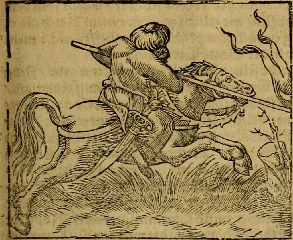 An illustration from Erste Theil der Hoffhaltung des Türckhischen Keysers vnd Othomañischen Reichs Beschreibung : darinn nicht allein der Türcken Empter ... sonder auch aller Türckischen Keysern Namen, Thaten, Krieg vnd Handel, so sie wider die Christen vnd Heyden haben verbracht, biss auff diss M.D.LXXVIII. Jar erstreckt vnd aussgeführet, auff das fleissigst verzeichnet vnd beschrieben : dessgleichen von der Türcken Aberglauben, Religion, Gottesdienst vnd Ceremonien ... : der ander Theil, wahrhaffte Beschreibung aller namhafften Geschichten, Thaten, Handlungen, Krieg ... so sich zwischen den Turcken vnd Christen vom Jar M.D.XX. biss auff das M.D.LXXVIII. Jar ... haben verloffen vnd zugetragen, 1578, leaf 256