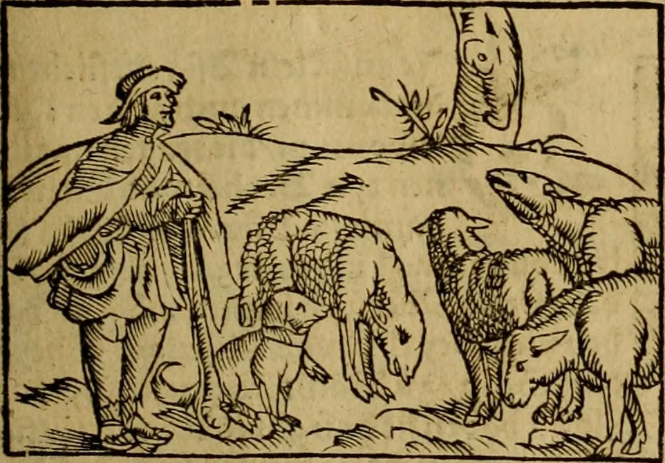 An illustration from Erste Theil der Hoffhaltung des Türckhischen Keysers vnd Othomañischen Reichs Beschreibung : darinn nicht allein der Türcken Empter ... sonder auch aller Türckischen Keysern Namen, Thaten, Krieg vnd Handel, so sie wider die Christen vnd Heyden haben verbracht, biss auff diss M.D.LXXVIII. Jar erstreckt vnd aussgeführet, auff das fleissigst verzeichnet vnd beschrieben : dessgleichen von der Türcken Aberglauben, Religion, Gottesdienst vnd Ceremonien ... : der ander Theil, wahrhaffte Beschreibung aller namhafften Geschichten, Thaten, Handlungen, Krieg ... so sich zwischen den Turcken vnd Christen vom Jar M.D.XX. biss auff das M.D.LXXVIII. Jar ... haben verloffen vnd zugetragen, 1578, leaf 284