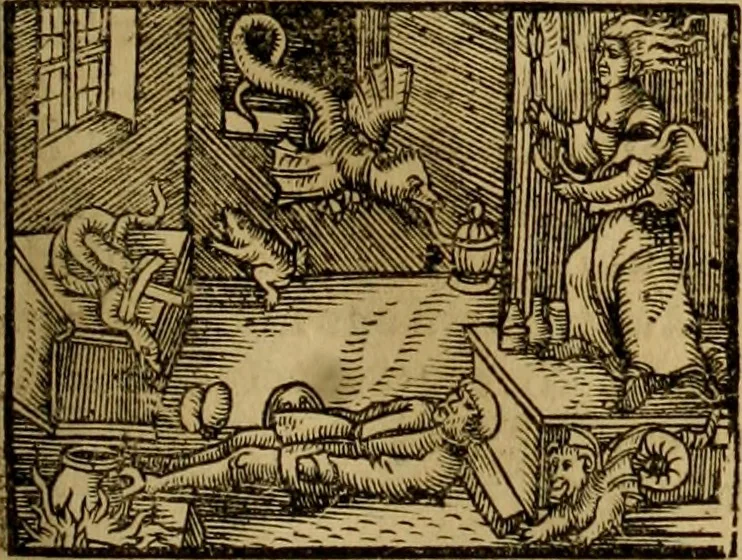 An illustration from Erste Theil der Hoffhaltung des Türckhischen Keysers vnd Othomañischen Reichs Beschreibung : darinn nicht allein der Türcken Empter ... sonder auch aller Türckischen Keysern Namen, Thaten, Krieg vnd Handel, so sie wider die Christen vnd Heyden haben verbracht, biss auff diss M.D.LXXVIII. Jar erstreckt vnd aussgeführet, auff das fleissigst verzeichnet vnd beschrieben : dessgleichen von der Türcken Aberglauben, Religion, Gottesdienst vnd Ceremonien ... : der ander Theil, wahrhaffte Beschreibung aller namhafften Geschichten, Thaten, Handlungen, Krieg ... so sich zwischen den Turcken vnd Christen vom Jar M.D.XX. biss auff das M.D.LXXVIII. Jar ... haben verloffen vnd zugetragen, 1578, leaf 286