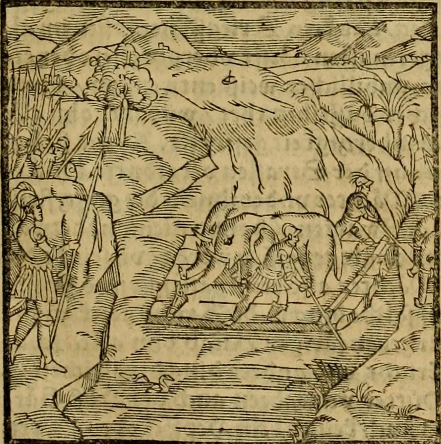 An illustration from Erste Theil der Hoffhaltung des Türckhischen Keysers vnd Othomañischen Reichs Beschreibung : darinn nicht allein der Türcken Empter ... sonder auch aller Türckischen Keysern Namen, Thaten, Krieg vnd Handel, so sie wider die Christen vnd Heyden haben verbracht, biss auff diss M.D.LXXVIII. Jar erstreckt vnd aussgeführet, auff das fleissigst verzeichnet vnd beschrieben : dessgleichen von der Türcken Aberglauben, Religion, Gottesdienst vnd Ceremonien ... : der ander Theil, wahrhaffte Beschreibung aller namhafften Geschichten, Thaten, Handlungen, Krieg ... so sich zwischen den Turcken vnd Christen vom Jar M.D.XX. biss auff das M.D.LXXVIII. Jar ... haben verloffen vnd zugetragen, 1578, leaf 30