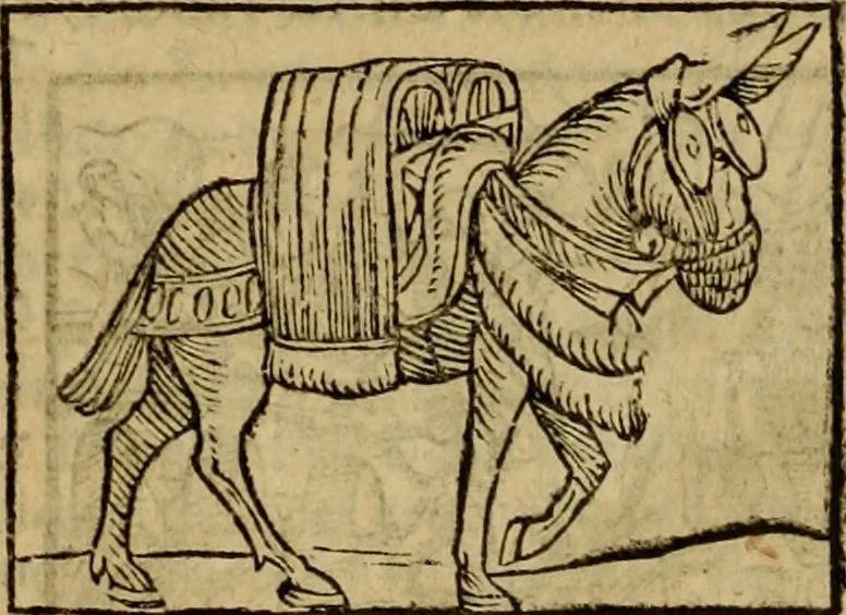 An illustration from Erste Theil der Hoffhaltung des Türckhischen Keysers vnd Othomañischen Reichs Beschreibung : darinn nicht allein der Türcken Empter ... sonder auch aller Türckischen Keysern Namen, Thaten, Krieg vnd Handel, so sie wider die Christen vnd Heyden haben verbracht, biss auff diss M.D.LXXVIII. Jar erstreckt vnd aussgeführet, auff das fleissigst verzeichnet vnd beschrieben : dessgleichen von der Türcken Aberglauben, Religion, Gottesdienst vnd Ceremonien ... : der ander Theil, wahrhaffte Beschreibung aller namhafften Geschichten, Thaten, Handlungen, Krieg ... so sich zwischen den Turcken vnd Christen vom Jar M.D.XX. biss auff das M.D.LXXVIII. Jar ... haben verloffen vnd zugetragen, 1578, leaf 30