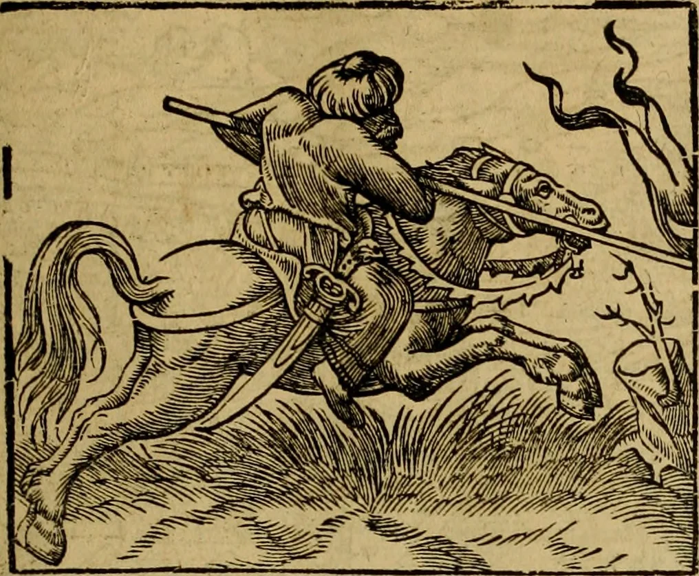 An illustration from Erste Theil der Hoffhaltung des Türckhischen Keysers vnd Othomañischen Reichs Beschreibung : darinn nicht allein der Türcken Empter ... sonder auch aller Türckischen Keysern Namen, Thaten, Krieg vnd Handel, so sie wider die Christen vnd Heyden haben verbracht, biss auff diss M.D.LXXVIII. Jar erstreckt vnd aussgeführet, auff das fleissigst verzeichnet vnd beschrieben : dessgleichen von der Türcken Aberglauben, Religion, Gottesdienst vnd Ceremonien ... : der ander Theil, wahrhaffte Beschreibung aller namhafften Geschichten, Thaten, Handlungen, Krieg ... so sich zwischen den Turcken vnd Christen vom Jar M.D.XX. biss auff das M.D.LXXVIII. Jar ... haben verloffen vnd zugetragen, 1578, leaf 336