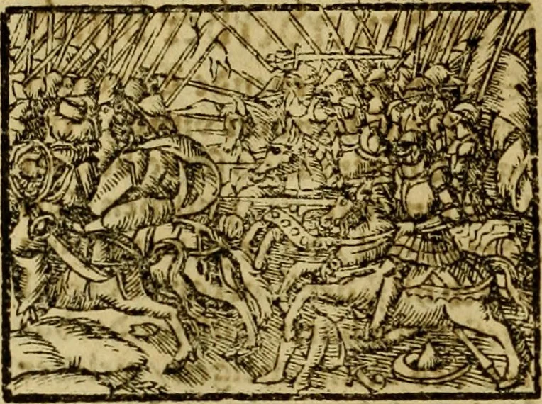 An illustration from Erste Theil der Hoffhaltung des Türckhischen Keysers vnd Othomañischen Reichs Beschreibung : darinn nicht allein der Türcken Empter ... sonder auch aller Türckischen Keysern Namen, Thaten, Krieg vnd Handel, so sie wider die Christen vnd Heyden haben verbracht, biss auff diss M.D.LXXVIII. Jar erstreckt vnd aussgeführet, auff das fleissigst verzeichnet vnd beschrieben : dessgleichen von der Türcken Aberglauben, Religion, Gottesdienst vnd Ceremonien ... : der ander Theil, wahrhaffte Beschreibung aller namhafften Geschichten, Thaten, Handlungen, Krieg ... so sich zwischen den Turcken vnd Christen vom Jar M.D.XX. biss auff das M.D.LXXVIII. Jar ... haben verloffen vnd zugetragen, 1578, leaf 365