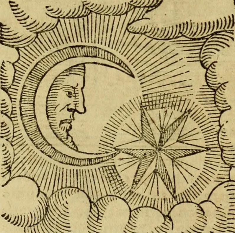 An illustration from Erste Theil der Hoffhaltung des Türckhischen Keysers vnd Othomañischen Reichs Beschreibung : darinn nicht allein der Türcken Empter ... sonder auch aller Türckischen Keysern Namen, Thaten, Krieg vnd Handel, so sie wider die Christen vnd Heyden haben verbracht, biss auff diss M.D.LXXVIII. Jar erstreckt vnd aussgeführet, auff das fleissigst verzeichnet vnd beschrieben : dessgleichen von der Türcken Aberglauben, Religion, Gottesdienst vnd Ceremonien ... : der ander Theil, wahrhaffte Beschreibung aller namhafften Geschichten, Thaten, Handlungen, Krieg ... so sich zwischen den Turcken vnd Christen vom Jar M.D.XX. biss auff das M.D.LXXVIII. Jar ... haben verloffen vnd zugetragen, 1578, leaf 367