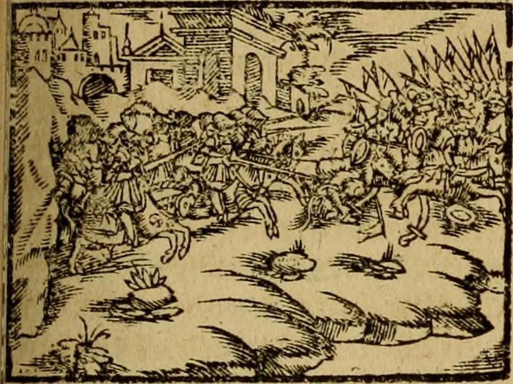 An illustration from Erste Theil der Hoffhaltung des Türckhischen Keysers vnd Othomañischen Reichs Beschreibung : darinn nicht allein der Türcken Empter ... sonder auch aller Türckischen Keysern Namen, Thaten, Krieg vnd Handel, so sie wider die Christen vnd Heyden haben verbracht, biss auff diss M.D.LXXVIII. Jar erstreckt vnd aussgeführet, auff das fleissigst verzeichnet vnd beschrieben : dessgleichen von der Türcken Aberglauben, Religion, Gottesdienst vnd Ceremonien ... : der ander Theil, wahrhaffte Beschreibung aller namhafften Geschichten, Thaten, Handlungen, Krieg ... so sich zwischen den Turcken vnd Christen vom Jar M.D.XX. biss auff das M.D.LXXVIII. Jar ... haben verloffen vnd zugetragen, 1578, leaf 394