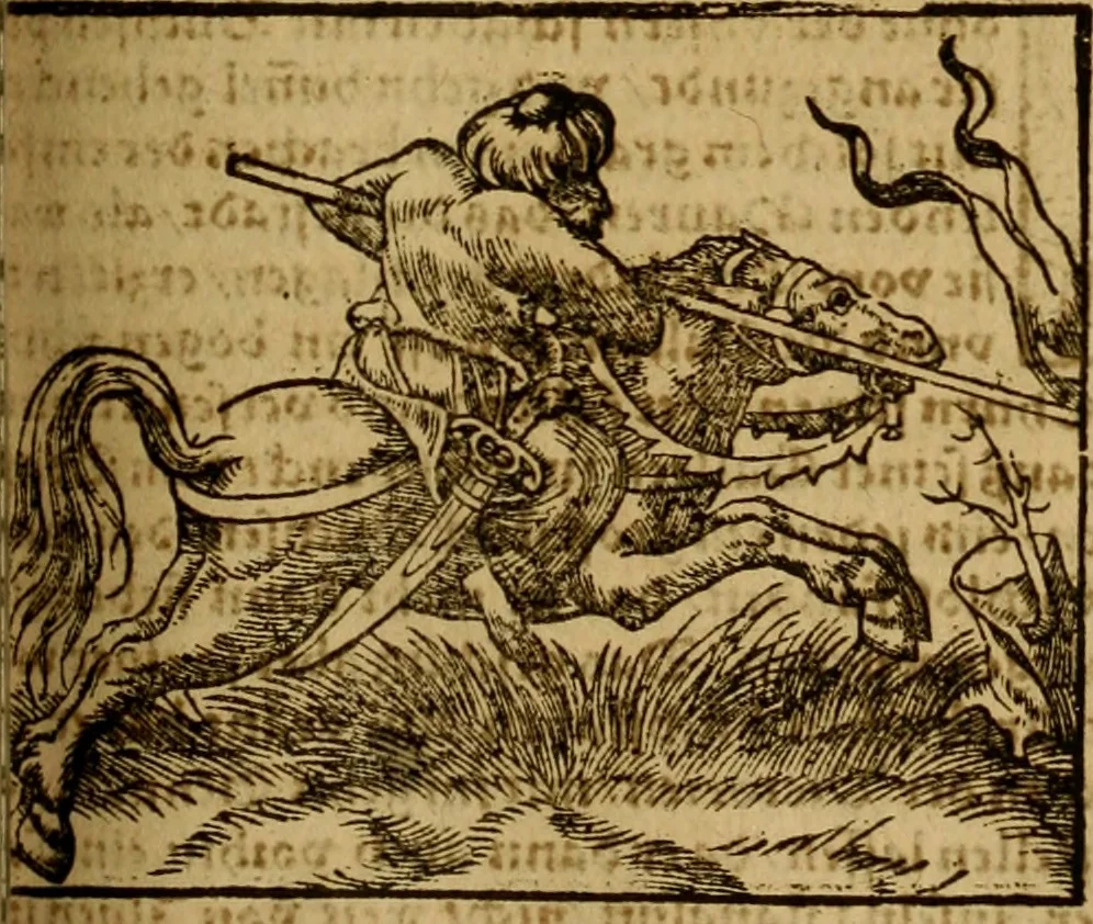 An illustration from Erste Theil der Hoffhaltung des Türckhischen Keysers vnd Othomañischen Reichs Beschreibung : darinn nicht allein der Türcken Empter ... sonder auch aller Türckischen Keysern Namen, Thaten, Krieg vnd Handel, so sie wider die Christen vnd Heyden haben verbracht, biss auff diss M.D.LXXVIII. Jar erstreckt vnd aussgeführet, auff das fleissigst verzeichnet vnd beschrieben : dessgleichen von der Türcken Aberglauben, Religion, Gottesdienst vnd Ceremonien ... : der ander Theil, wahrhaffte Beschreibung aller namhafften Geschichten, Thaten, Handlungen, Krieg ... so sich zwischen den Turcken vnd Christen vom Jar M.D.XX. biss auff das M.D.LXXVIII. Jar ... haben verloffen vnd zugetragen, 1578, leaf 414