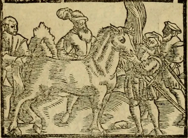 An illustration from Erste Theil der Hoffhaltung des Türckhischen Keysers vnd Othomañischen Reichs Beschreibung : darinn nicht allein der Türcken Empter ... sonder auch aller Türckischen Keysern Namen, Thaten, Krieg vnd Handel, so sie wider die Christen vnd Heyden haben verbracht, biss auff diss M.D.LXXVIII. Jar erstreckt vnd aussgeführet, auff das fleissigst verzeichnet vnd beschrieben : dessgleichen von der Türcken Aberglauben, Religion, Gottesdienst vnd Ceremonien ... : der ander Theil, wahrhaffte Beschreibung aller namhafften Geschichten, Thaten, Handlungen, Krieg ... so sich zwischen den Turcken vnd Christen vom Jar M.D.XX. biss auff das M.D.LXXVIII. Jar ... haben verloffen vnd zugetragen, 1578, leaf 42