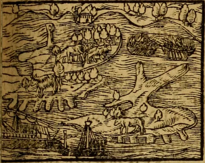 An illustration from Erste Theil der Hoffhaltung des Türckhischen Keysers vnd Othomañischen Reichs Beschreibung : darinn nicht allein der Türcken Empter ... sonder auch aller Türckischen Keysern Namen, Thaten, Krieg vnd Handel, so sie wider die Christen vnd Heyden haben verbracht, biss auff diss M.D.LXXVIII. Jar erstreckt vnd aussgeführet, auff das fleissigst verzeichnet vnd beschrieben : dessgleichen von der Türcken Aberglauben, Religion, Gottesdienst vnd Ceremonien ... : der ander Theil, wahrhaffte Beschreibung aller namhafften Geschichten, Thaten, Handlungen, Krieg ... so sich zwischen den Turcken vnd Christen vom Jar M.D.XX. biss auff das M.D.LXXVIII. Jar ... haben verloffen vnd zugetragen, 1578, leaf 426