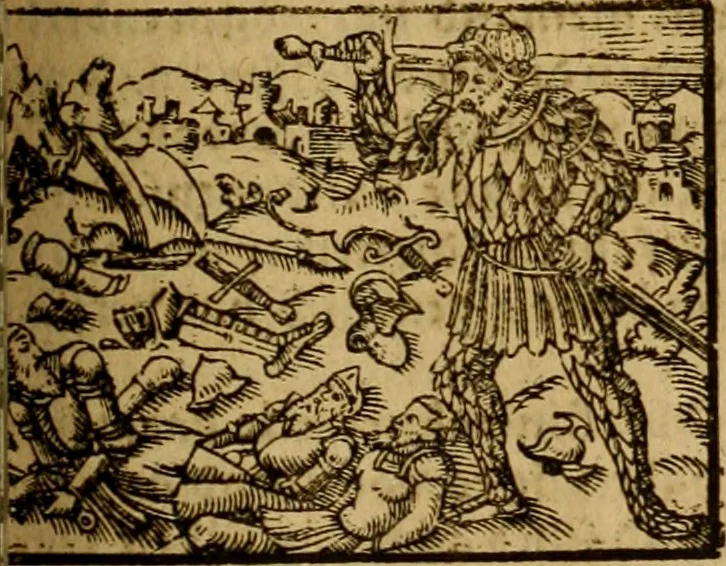 An illustration from Erste Theil der Hoffhaltung des Türckhischen Keysers vnd Othomañischen Reichs Beschreibung : darinn nicht allein der Türcken Empter ... sonder auch aller Türckischen Keysern Namen, Thaten, Krieg vnd Handel, so sie wider die Christen vnd Heyden haben verbracht, biss auff diss M.D.LXXVIII. Jar erstreckt vnd aussgeführet, auff das fleissigst verzeichnet vnd beschrieben : dessgleichen von der Türcken Aberglauben, Religion, Gottesdienst vnd Ceremonien ... : der ander Theil, wahrhaffte Beschreibung aller namhafften Geschichten, Thaten, Handlungen, Krieg ... so sich zwischen den Turcken vnd Christen vom Jar M.D.XX. biss auff das M.D.LXXVIII. Jar ... haben verloffen vnd zugetragen, 1578, leaf 428
