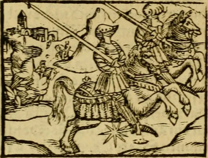 An illustration from Erste Theil der Hoffhaltung des Türckhischen Keysers vnd Othomañischen Reichs Beschreibung : darinn nicht allein der Türcken Empter ... sonder auch aller Türckischen Keysern Namen, Thaten, Krieg vnd Handel, so sie wider die Christen vnd Heyden haben verbracht, biss auff diss M.D.LXXVIII. Jar erstreckt vnd aussgeführet, auff das fleissigst verzeichnet vnd beschrieben : dessgleichen von der Türcken Aberglauben, Religion, Gottesdienst vnd Ceremonien ... : der ander Theil, wahrhaffte Beschreibung aller namhafften Geschichten, Thaten, Handlungen, Krieg ... so sich zwischen den Turcken vnd Christen vom Jar M.D.XX. biss auff das M.D.LXXVIII. Jar ... haben verloffen vnd zugetragen, 1578, leaf 435