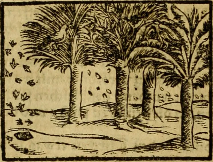 An illustration from Erste Theil der Hoffhaltung des Türckhischen Keysers vnd Othomañischen Reichs Beschreibung : darinn nicht allein der Türcken Empter ... sonder auch aller Türckischen Keysern Namen, Thaten, Krieg vnd Handel, so sie wider die Christen vnd Heyden haben verbracht, biss auff diss M.D.LXXVIII. Jar erstreckt vnd aussgeführet, auff das fleissigst verzeichnet vnd beschrieben : dessgleichen von der Türcken Aberglauben, Religion, Gottesdienst vnd Ceremonien ... : der ander Theil, wahrhaffte Beschreibung aller namhafften Geschichten, Thaten, Handlungen, Krieg ... so sich zwischen den Turcken vnd Christen vom Jar M.D.XX. biss auff das M.D.LXXVIII. Jar ... haben verloffen vnd zugetragen, 1578, leaf 453
