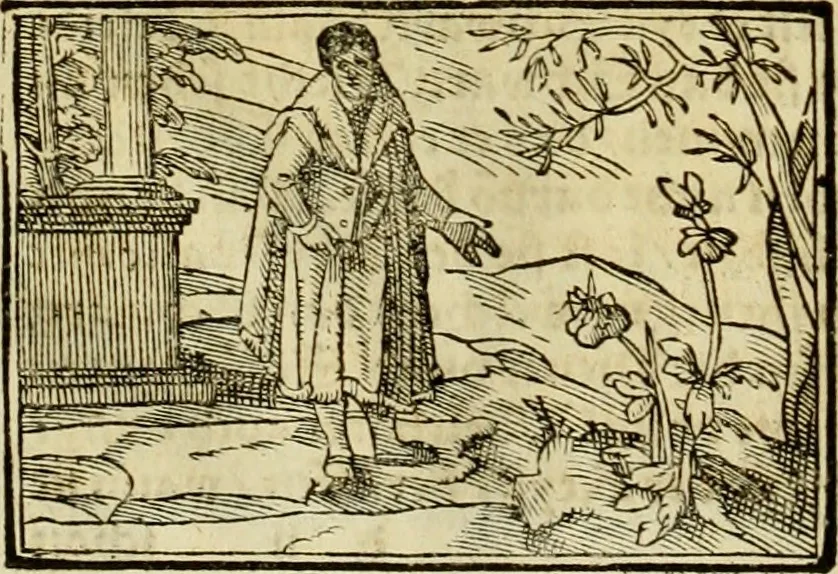 An illustration from Erste Theil der Hoffhaltung des Türckhischen Keysers vnd Othomañischen Reichs Beschreibung : darinn nicht allein der Türcken Empter ... sonder auch aller Türckischen Keysern Namen, Thaten, Krieg vnd Handel, so sie wider die Christen vnd Heyden haben verbracht, biss auff diss M.D.LXXVIII. Jar erstreckt vnd aussgeführet, auff das fleissigst verzeichnet vnd beschrieben : dessgleichen von der Türcken Aberglauben, Religion, Gottesdienst vnd Ceremonien ... : der ander Theil, wahrhaffte Beschreibung aller namhafften Geschichten, Thaten, Handlungen, Krieg ... so sich zwischen den Turcken vnd Christen vom Jar M.D.XX. biss auff das M.D.LXXVIII. Jar ... haben verloffen vnd zugetragen, 1578, leaf 51