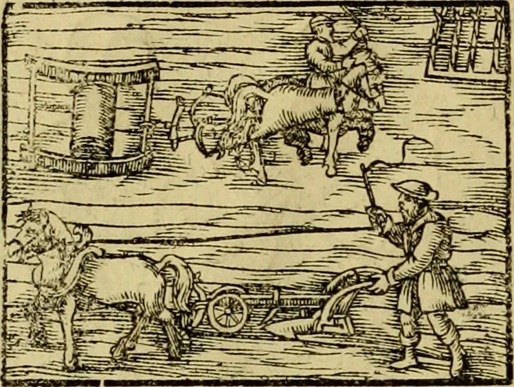 An illustration from Erste Theil der Hoffhaltung des Türckhischen Keysers vnd Othomañischen Reichs Beschreibung : darinn nicht allein der Türcken Empter ... sonder auch aller Türckischen Keysern Namen, Thaten, Krieg vnd Handel, so sie wider die Christen vnd Heyden haben verbracht, biss auff diss M.D.LXXVIII. Jar erstreckt vnd aussgeführet, auff das fleissigst verzeichnet vnd beschrieben : dessgleichen von der Türcken Aberglauben, Religion, Gottesdienst vnd Ceremonien ... : der ander Theil, wahrhaffte Beschreibung aller namhafften Geschichten, Thaten, Handlungen, Krieg ... so sich zwischen den Turcken vnd Christen vom Jar M.D.XX. biss auff das M.D.LXXVIII. Jar ... haben verloffen vnd zugetragen, 1578, leaf 55