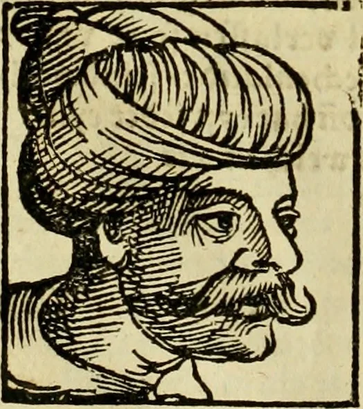 An illustration from Erste Theil der Hoffhaltung des Türckhischen Keysers vnd Othomañischen Reichs Beschreibung : darinn nicht allein der Türcken Empter ... sonder auch aller Türckischen Keysern Namen, Thaten, Krieg vnd Handel, so sie wider die Christen vnd Heyden haben verbracht, biss auff diss M.D.LXXVIII. Jar erstreckt vnd aussgeführet, auff das fleissigst verzeichnet vnd beschrieben : dessgleichen von der Türcken Aberglauben, Religion, Gottesdienst vnd Ceremonien ... : der ander Theil, wahrhaffte Beschreibung aller namhafften Geschichten, Thaten, Handlungen, Krieg ... so sich zwischen den Turcken vnd Christen vom Jar M.D.XX. biss auff das M.D.LXXVIII. Jar ... haben verloffen vnd zugetragen, 1578, leaf 63