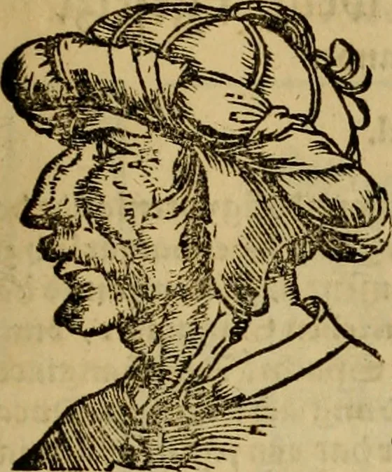 An illustration from Erste Theil der Hoffhaltung des Türckhischen Keysers vnd Othomañischen Reichs Beschreibung : darinn nicht allein der Türcken Empter ... sonder auch aller Türckischen Keysern Namen, Thaten, Krieg vnd Handel, so sie wider die Christen vnd Heyden haben verbracht, biss auff diss M.D.LXXVIII. Jar erstreckt vnd aussgeführet, auff das fleissigst verzeichnet vnd beschrieben : dessgleichen von der Türcken Aberglauben, Religion, Gottesdienst vnd Ceremonien ... : der ander Theil, wahrhaffte Beschreibung aller namhafften Geschichten, Thaten, Handlungen, Krieg ... so sich zwischen den Turcken vnd Christen vom Jar M.D.XX. biss auff das M.D.LXXVIII. Jar ... haben verloffen vnd zugetragen, 1578, leaf 64