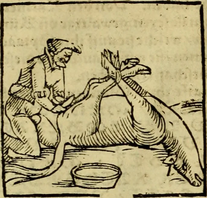 An illustration from Erste Theil der Hoffhaltung des Türckhischen Keysers vnd Othomañischen Reichs Beschreibung : darinn nicht allein der Türcken Empter ... sonder auch aller Türckischen Keysern Namen, Thaten, Krieg vnd Handel, so sie wider die Christen vnd Heyden haben verbracht, biss auff diss M.D.LXXVIII. Jar erstreckt vnd aussgeführet, auff das fleissigst verzeichnet vnd beschrieben : dessgleichen von der Türcken Aberglauben, Religion, Gottesdienst vnd Ceremonien ... : der ander Theil, wahrhaffte Beschreibung aller namhafften Geschichten, Thaten, Handlungen, Krieg ... so sich zwischen den Turcken vnd Christen vom Jar M.D.XX. biss auff das M.D.LXXVIII. Jar ... haben verloffen vnd zugetragen, 1578, leaf 73