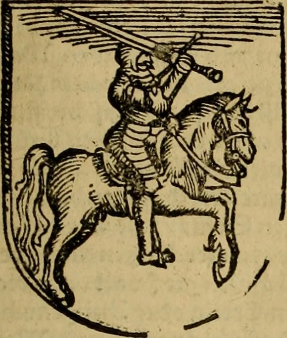 An illustration from Erste Theil der Hoffhaltung des Türckhischen Keysers vnd Othomañischen Reichs Beschreibung : darinn nicht allein der Türcken Empter ... sonder auch aller Türckischen Keysern Namen, Thaten, Krieg vnd Handel, so sie wider die Christen vnd Heyden haben verbracht, biss auff diss M.D.LXXVIII. Jar erstreckt vnd aussgeführet, auff das fleissigst verzeichnet vnd beschrieben : dessgleichen von der Türcken Aberglauben, Religion, Gottesdienst vnd Ceremonien ... : der ander Theil, wahrhaffte Beschreibung aller namhafften Geschichten, Thaten, Handlungen, Krieg ... so sich zwischen den Turcken vnd Christen vom Jar M.D.XX. biss auff das M.D.LXXVIII. Jar ... haben verloffen vnd zugetragen, 1578, leaf 96