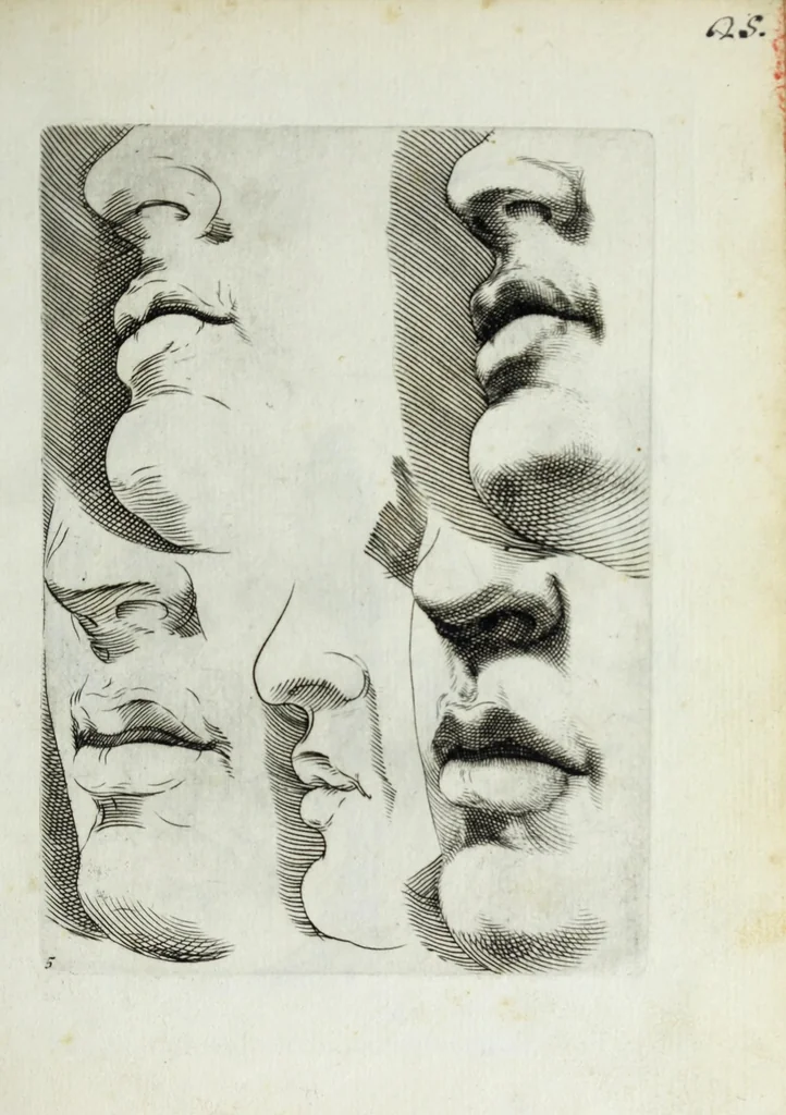 An illustration from Esemplare del'disegno in gratia Dei : principianti nell'arte della pitura et scultura posto in luce nouamente, 1650, leaf 13