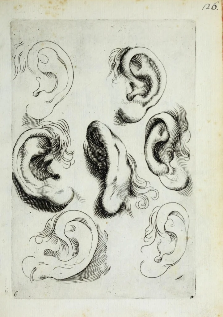 An illustration from Esemplare del'disegno in gratia Dei : principianti nell'arte della pitura et scultura posto in luce nouamente, 1650, leaf 15