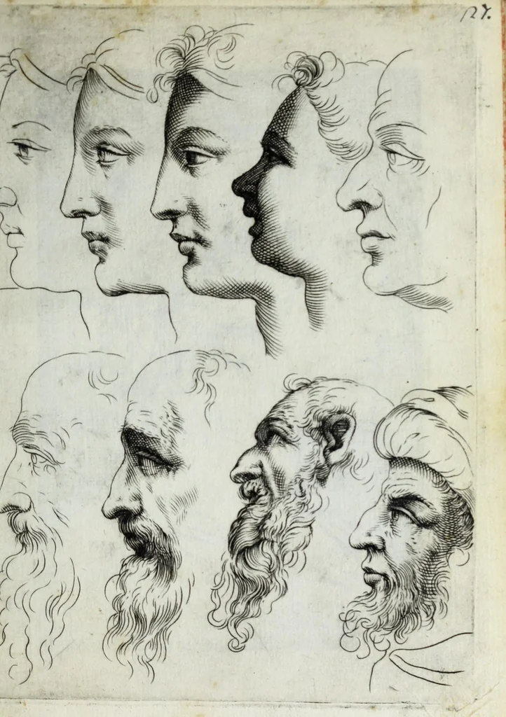 An illustration from Esemplare del'disegno in gratia Dei : principianti nell'arte della pitura et scultura posto in luce nouamente, 1650, leaf 17