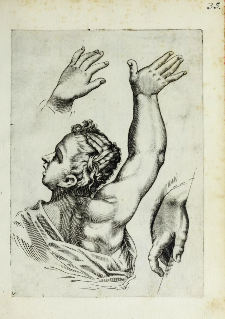 An illustration from Esemplare del'disegno in gratia Dei : principianti nell'arte della pitura et scultura posto in luce nouamente, 1650, leaf 33