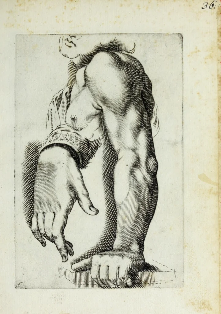 An illustration from Esemplare del'disegno in gratia Dei : principianti nell'arte della pitura et scultura posto in luce nouamente, 1650, leaf 35
