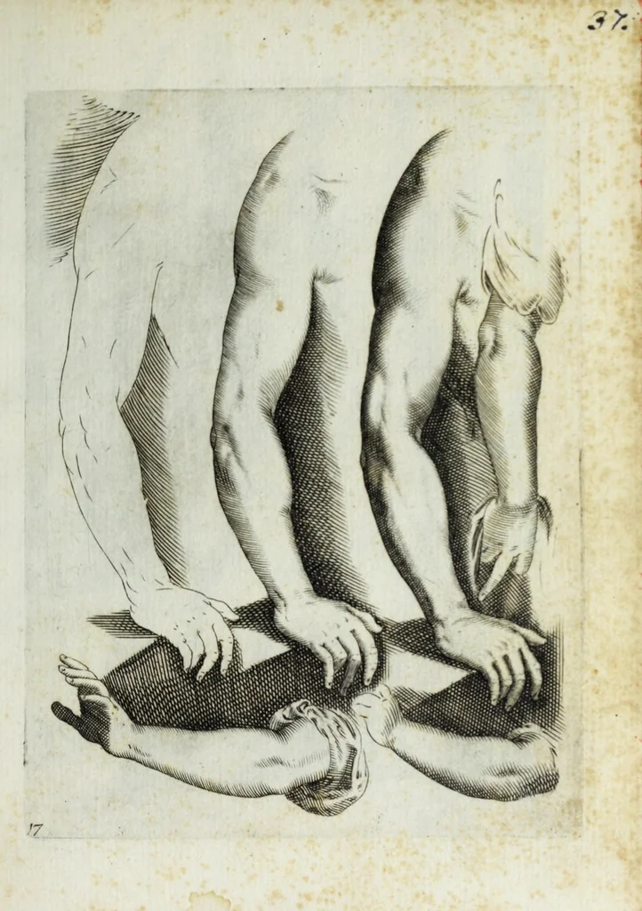 An illustration from Esemplare del'disegno in gratia Dei : principianti nell'arte della pitura et scultura posto in luce nouamente, 1650, leaf 37