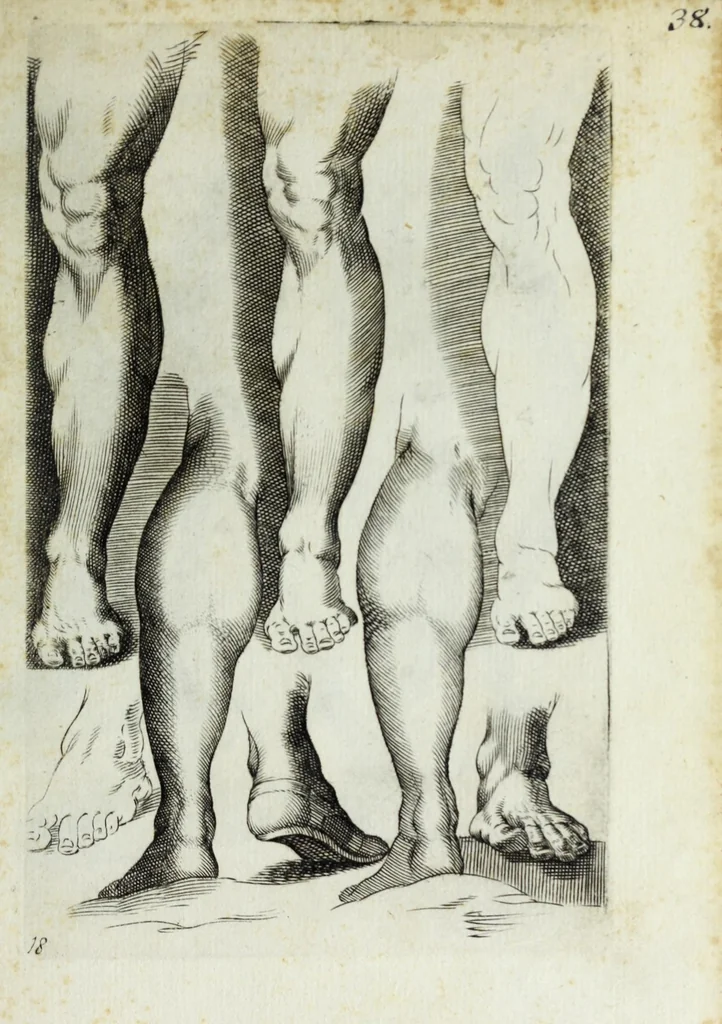 An illustration from Esemplare del'disegno in gratia Dei : principianti nell'arte della pitura et scultura posto in luce nouamente, 1650, leaf 39