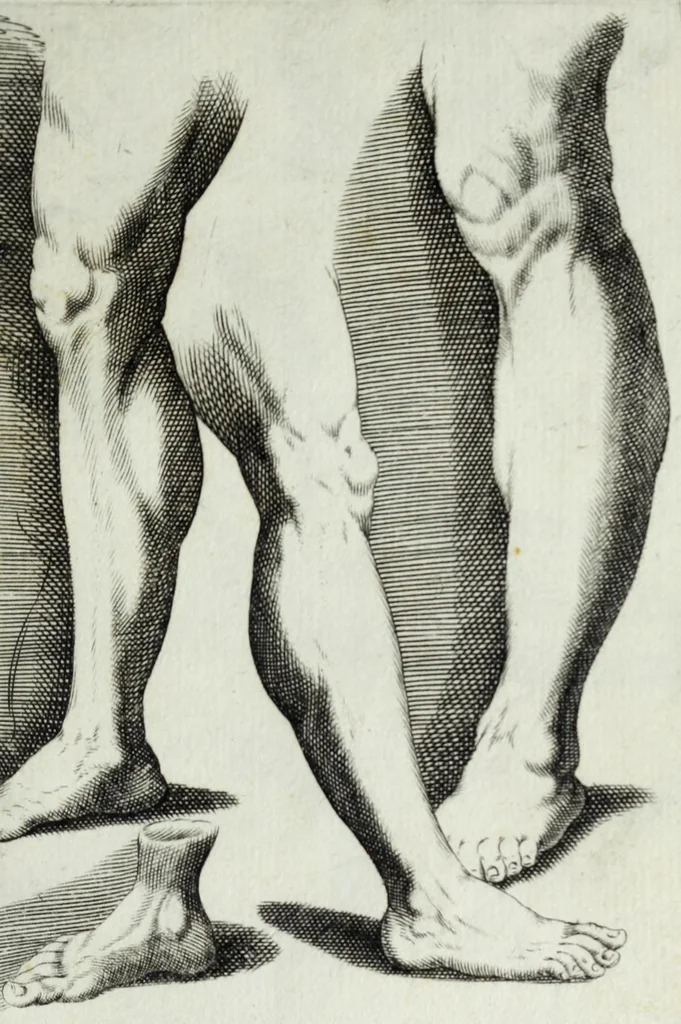 An illustration from Esemplare del'disegno in gratia Dei : principianti nell'arte della pitura et scultura posto in luce nouamente, 1650, leaf 41