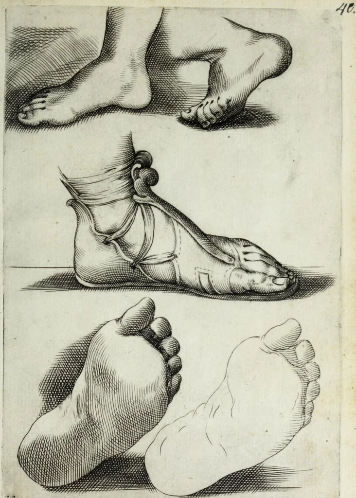 An illustration from Esemplare del'disegno in gratia Dei : principianti nell'arte della pitura et scultura posto in luce nouamente, 1650, leaf 43