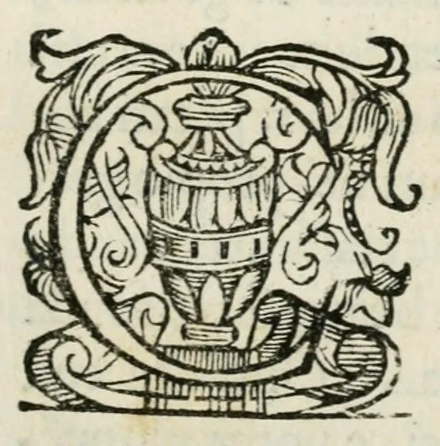 An illustration from Esequie della Maesta Cesarea dell'imperador Mattia : celebrate dal serenissimo Cosimo Secondo, gran dvca di Toscana, 1619, leaf 5