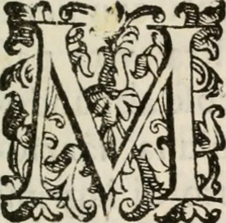 An illustration from Esequie del serenissimo Ferdinando II, gran duca di Toscana celebrate in Firenze dal serenissimo gran duca Cosimo III, 1671, leaf 14