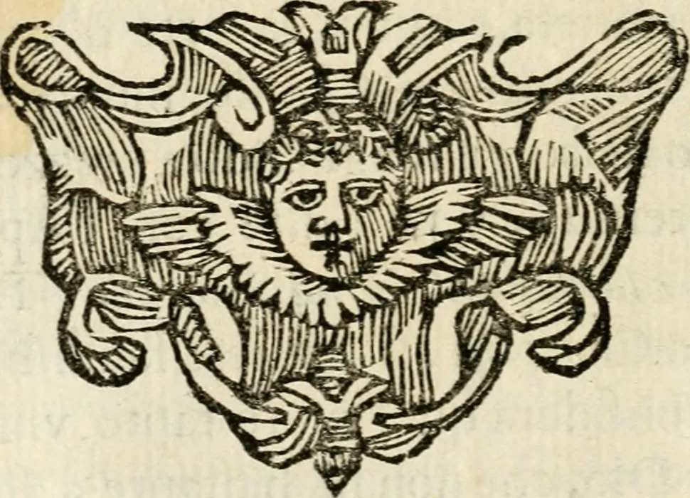 An illustration from Racconto dell'esequie fatte in Cremona all'eminentissimo signor cardinale Pietro Campori, vescouo d'essa città, 1643, leaf 29