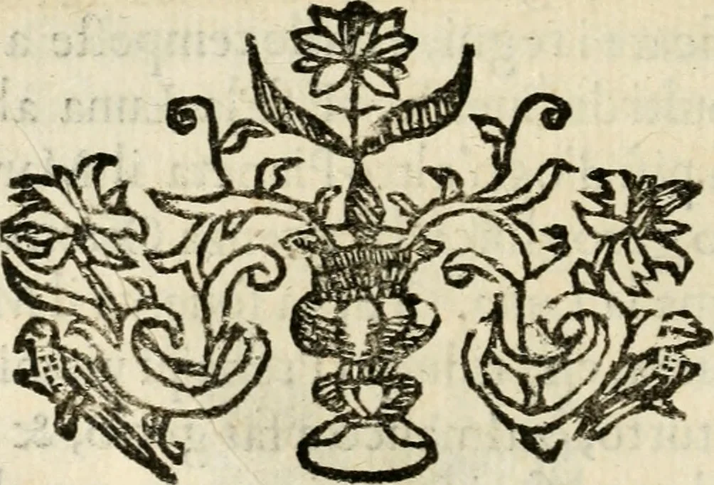An illustration from Racconto dell'esequie fatte in Cremona all'eminentissimo signor cardinale Pietro Campori, vescouo d'essa città, 1643, leaf 41