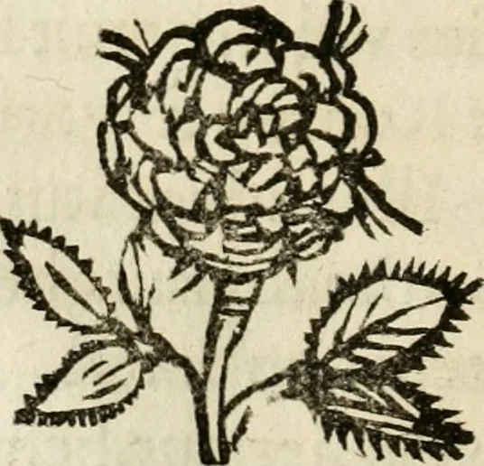 An illustration from Racconto dell'esequie fatte in Cremona all'eminentissimo signor cardinale Pietro Campori, vescouo d'essa città, 1643, leaf 45
