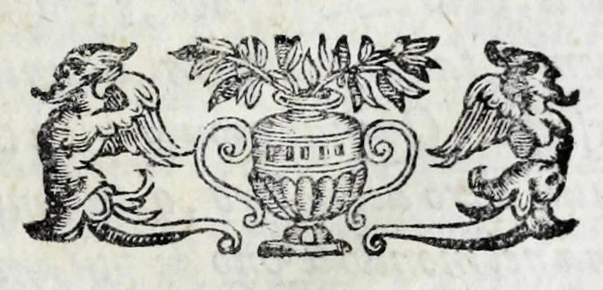An illustration from Eseqvie d'Arrigo qvarto cristianissimo re di Francia, e di Navarra : celebrate in Firenze dal serenissimo don Cosimo II granduca di Toscana, 1610, leaf 11