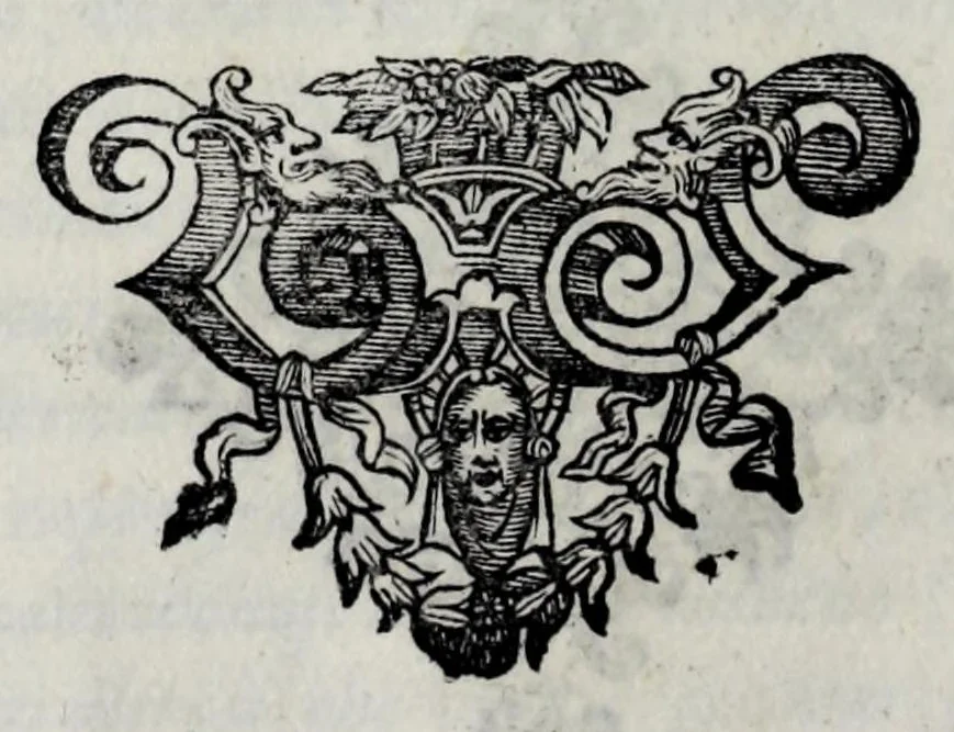 An illustration from Eseqvie d'Arrigo qvarto cristianissimo re di Francia, e di Navarra : celebrate in Firenze dal serenissimo don Cosimo II granduca di Toscana, 1610, leaf 18