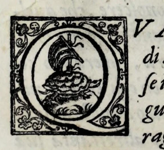 An illustration from Eseqvie d'Arrigo qvarto cristianissimo re di Francia, e di Navarra : celebrate in Firenze dal serenissimo don Cosimo II granduca di Toscana, 1610, leaf 28